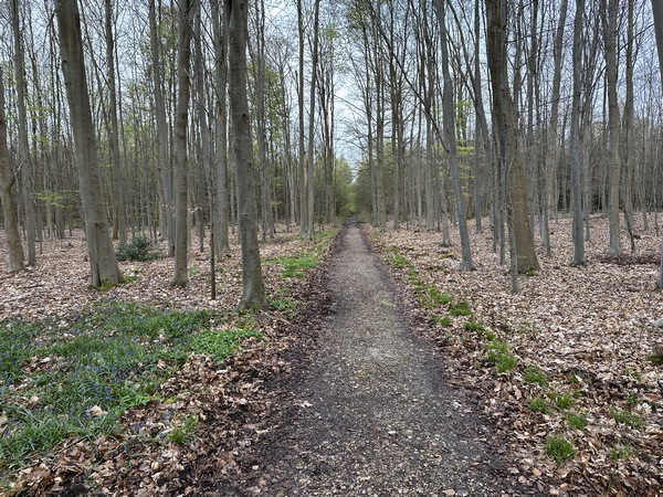 J'ai traversé à nouveau la D86, et je continue vers Montigny.