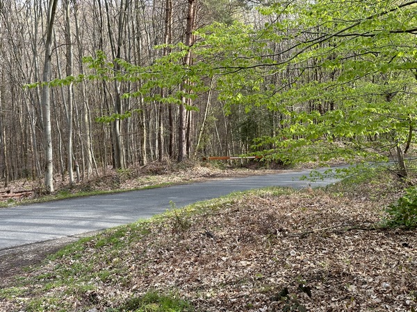 Je traverse la D94. On voit, en face, l'entrée du chemin des Merisiers.