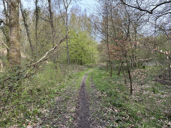 Les douces courbes et la pente régulière du chemin des Merisiers font penser à celles d'un ancien chemin de fer. Ce chemin était sans doute une voie qui prolongeait l'actuelle rue Ponty.