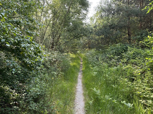 Je continue sur les chemins, en tournant en direction du sud-est.