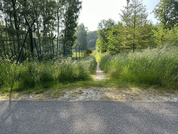Je traverse la route forestière du Fond de l'Essart, et continue en face.