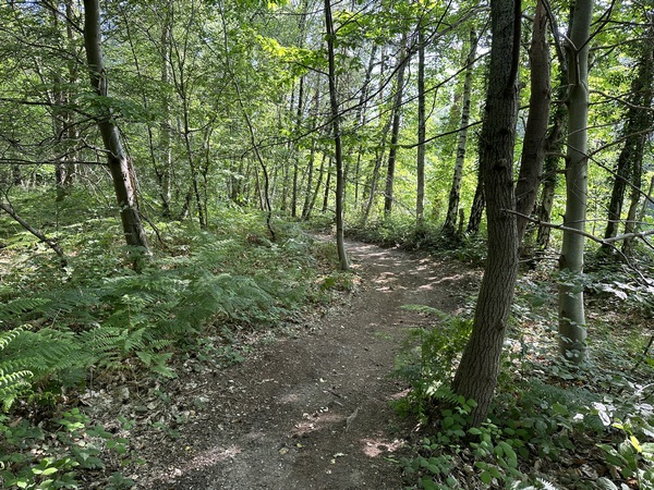 Je retrouve le chemin qui longe la D18E.