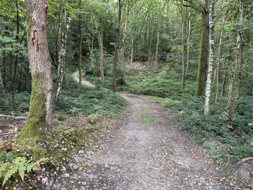 Au sommet, je marche sur le chemin qui longe la lisière.