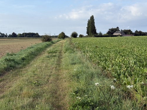 Je tourne vers le sud sur ce chemin herbeux qui devient petite route au niveau de la Ferme de l'Essart.