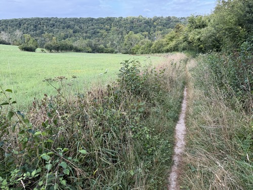 Je sors de Roncherolles par le chemin de la Ronce, et descends dans la vallée du Robec.