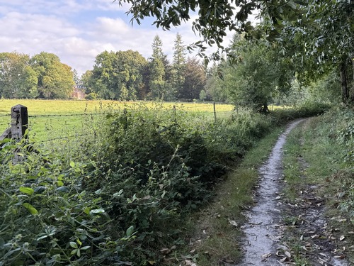En lisière de bois, on distingue le château du Mont Perreux (XVIIe XVIIIe).