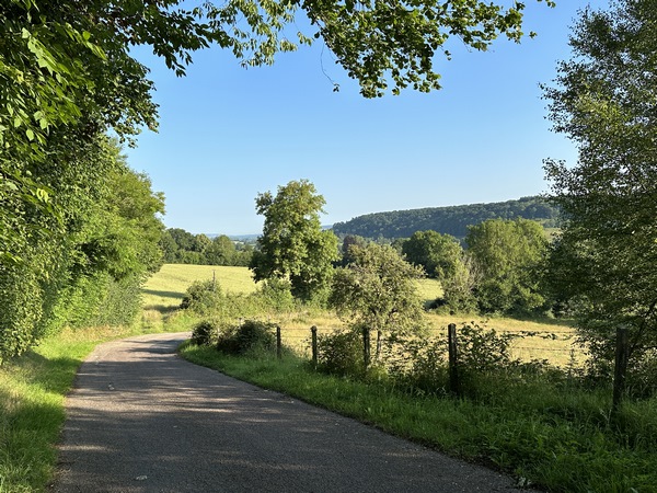 Nous quittons le bois et les chemins pour descendre cette petite route, Chemin des Terriers, en direction de la vallée du Chaussey.&nbsp;&nbsp;