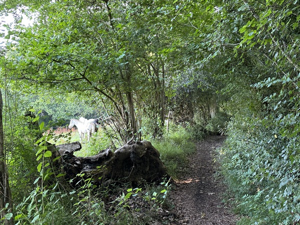 Nous montons le chemin du Mont d'Auget. Le circuit est bien vallonné, et les montées ne manquent pas.