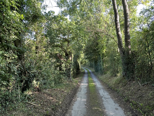 Au sommet nous suivons cette petite route. Nous marchons sur plusieurs de ces petites routes, qui desservent des maisons, mais ne sont bitumées qu'au niveau du passage de roues. Elles sont aussi agréables que des chemins, mais nous ne les avons pas comptées comme chemins dans le pourcentage routes/chemins.