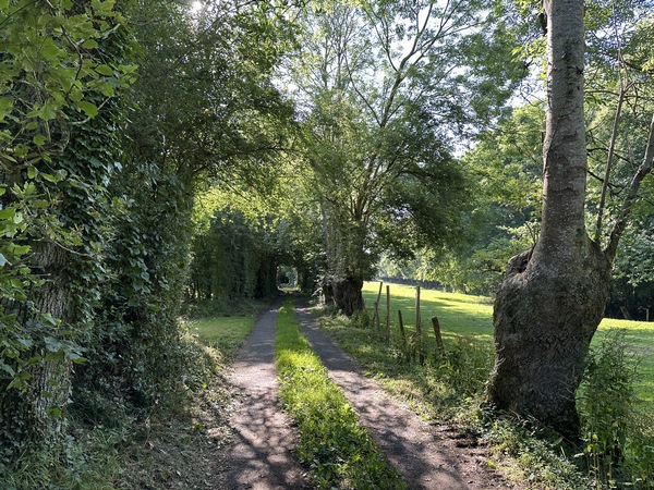 Nous sommes sur le Chemin du Mont Broult, au-desssus de Blangy-le-Château. La vallée du Chaussey est sur notre droite.