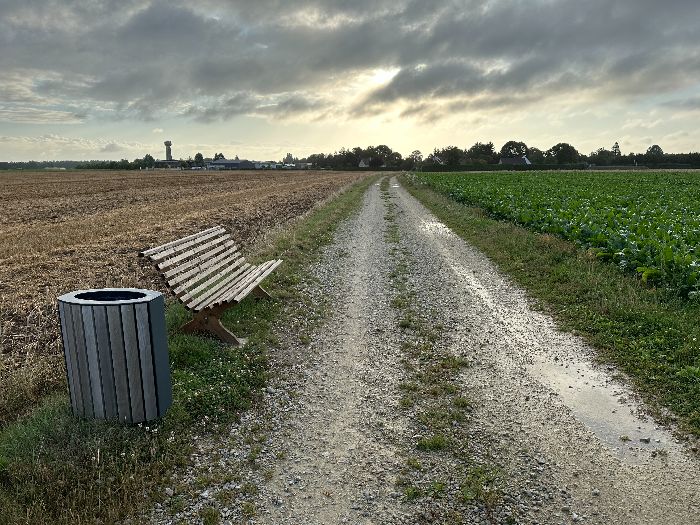 Nous tournons sur le chemin de la Haies Robines. C'est une piste cyclable, d'où la présence de bancs. Il ne faudra sans doute pas attendre longtemps avant de voir la maladie du bitume frapper ici aussi.