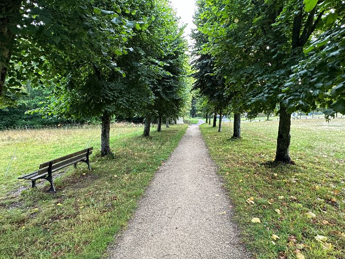 Nous traversons le bois des Chanoines avant d'entrer en forêt d'Elbeuf.