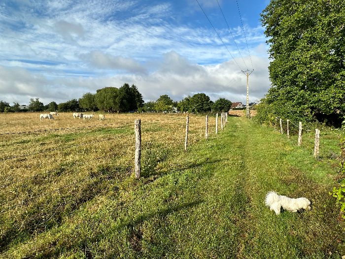 Sentier des Drapiers à St-Pierre.
