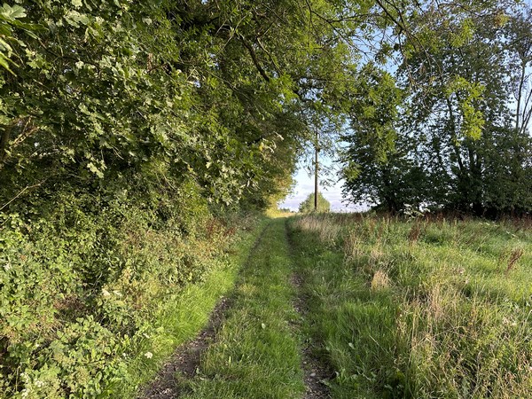 Après l'église nous arrivons directement sur notre premier chemin qui monte sur la grand motte féodale de Beaunay.