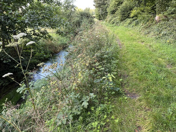 La Vienne est un affluent de la Saâne. Elle rejoint le petit fleuve côtier à Ambrumesnil, à 7 km de la mer.