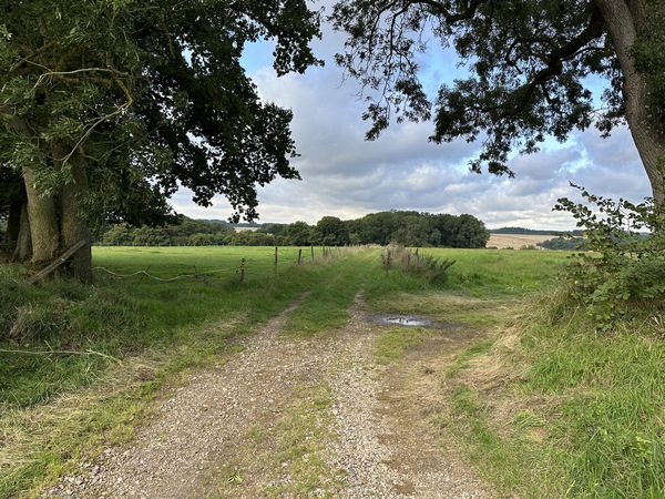 Nous avons longé La Chapelle de Bénouville, et allons descendre le coteau de la vallée de la Saâne.