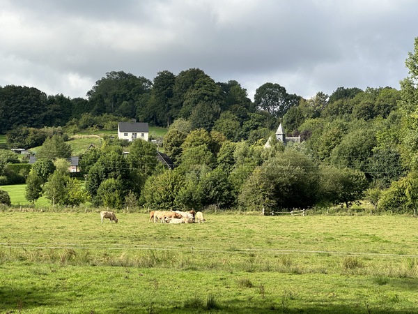 Sur l'autre rive, on distingue le clocher de l'église Saint-Nicaise de Thiédeville.