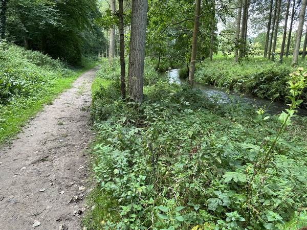 Nous reprenons notre marche sur le GR212 en direction d'Anglesqueville.