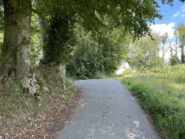 Nous fermons la boucle, on reconnaît le chemin de la Motte Féodale en face. Nous allons tourner à gauche pour rejoindre le parking de la mairie.