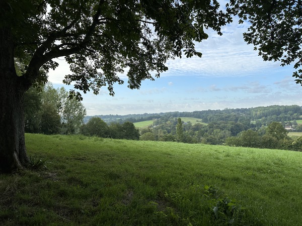 Au sommet, nous avons droit à de sympathiques points de vue sur les paysages vallonnés du Pays d'Auge.