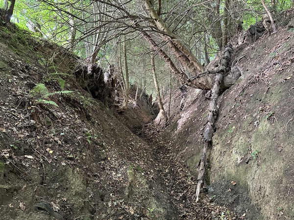 Le chemin des Vanniers est, lui aussi, un profond chemin creux, sans difficulté en période sèche, mais impraticable après la pluie.