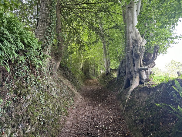 Le chemin Eugène Girard part de la petite mairie de Saint-Jouin.