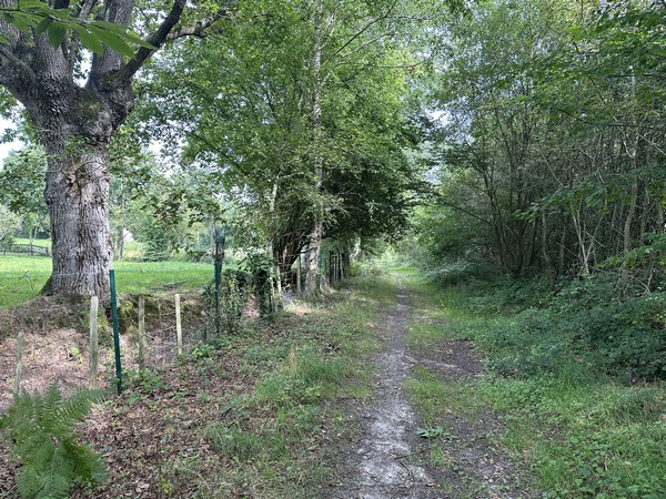 En lisière du bois, nous quittons l'allée principale pour tourner ici et longer les propriétés.