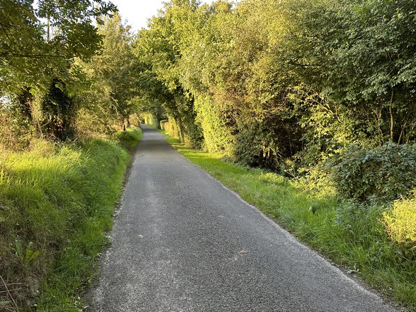 Sur la route des Bois de Selles, il ne faut pas rater l'entrée du chemin qui descend dans le bois. L'entrée est là devant nous, à droite. C'est un large chemin, mais il est à angle aigu, ce qui le rend très discret.