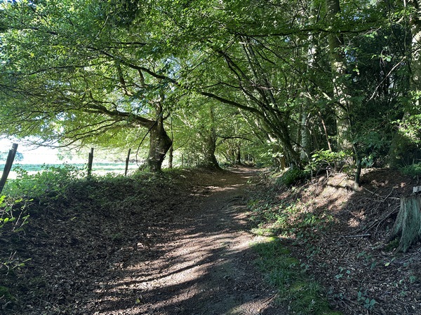 Depuis le départ, nos chemins sont vraiment superbes.&nbsp;