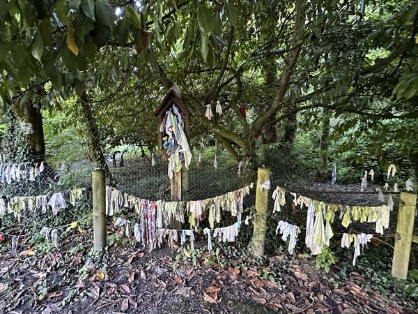 Voici l'arbre aux mouchoirs. C'est un endroit touchant, avec ces témoignages de&nbsp; l'espérance de nombreuses familles. La statue du saint est cachée sous les linges.