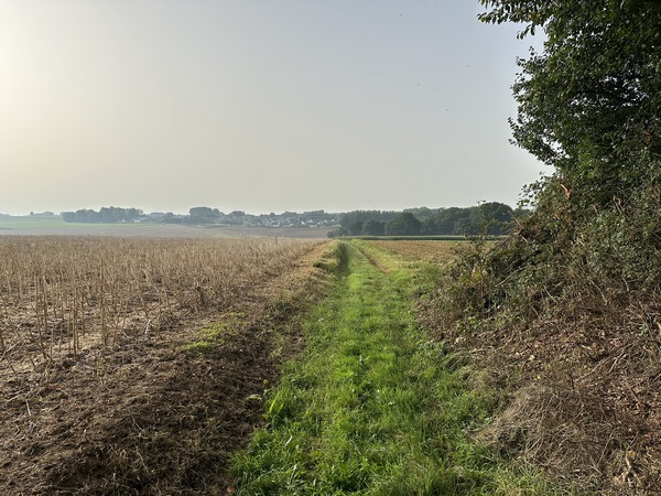 On distingue les premières maisons d'Etalleville.