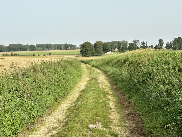 Dernier chemin avant d'arriver à Doudeville. Les chemins de ce circuit paraissent solides, j'attendrai les avis favorables de marcheurs en période de pluies pour donner à cette rando un parapluie vert.