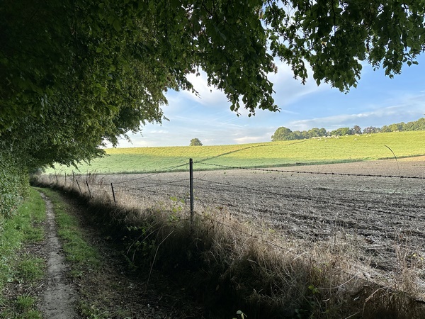Le Chemin du Pont de Loumare au Val au Cesne, que nous suivons depuis notre entrée dans le bois de la Brétèque, est le chemin frontière entre Ecalles-Alix et les communes de Ste-Marie-Des-Champs, Yvetot, et St-Clair-sur-les-Monts.