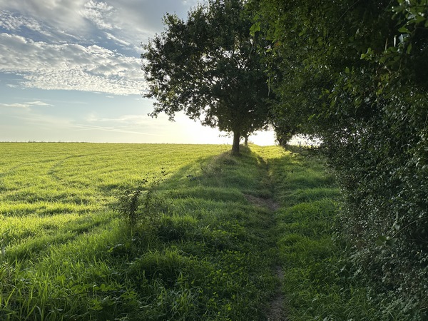 Nous remontons sur le plateau.