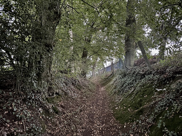 Un chemin relie la rue de la Forge à la rue du Haut Hôtel.