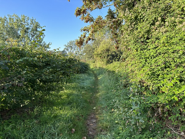 Nous suivons le chemin de la Mare aux Loups.