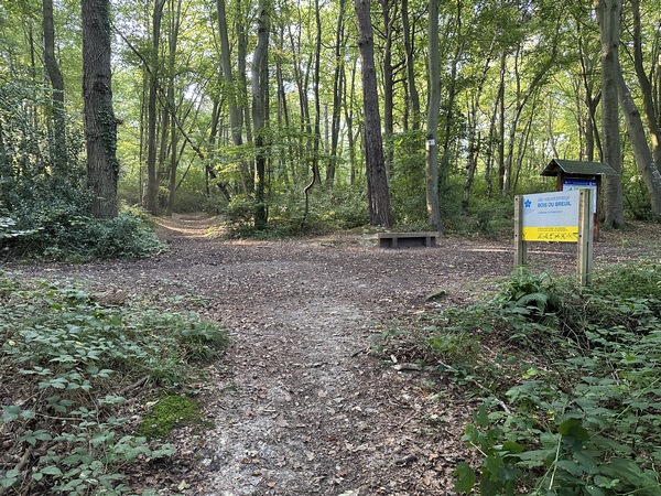 Le Bois du Breuil est un espace naturel protégé, propriété du Conservatoire du Littoral. Nous ne résistons pas au plaisir de parcourir, et tournons à gauche.