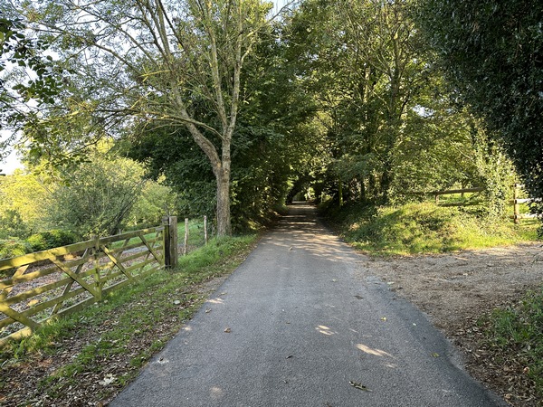 Le Chemin des Bruyères est une petite route ombragée, et plutôt tranquille.