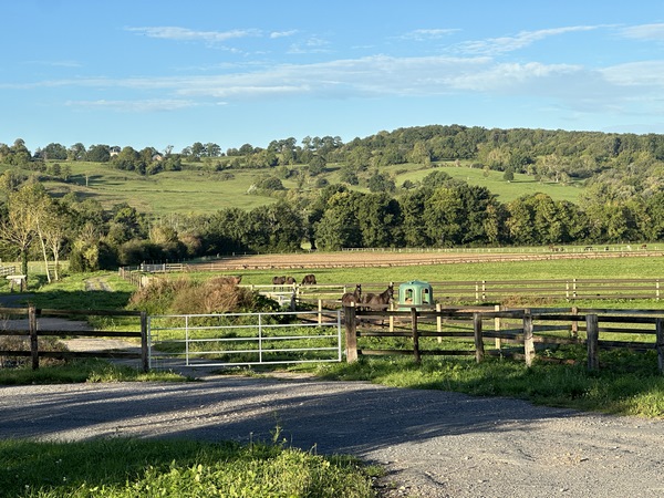 Ferme équestre le long de la D47.