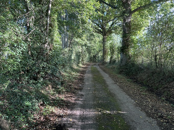 Nous remontons sur le plateau par le chemin du Verger. Contrairement à ce que nous imaginions en connaissant la région, les pentes de ce circuit, dans ce sens, sont très douces.