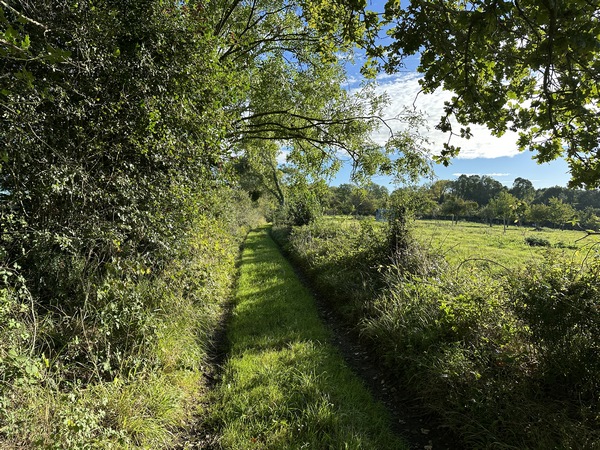 Nous traversons plusieurs bois, dont le bois de Noiremare.