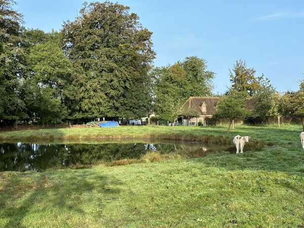 La plaine est ponctuée de bosquets, mares, longères... C'est vraiment un circuit du Pays de Caux.
