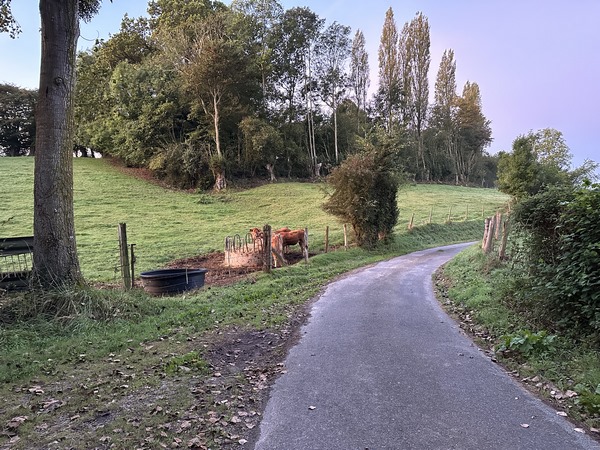 Nous partons de Rondemare et suivons le Chemin de la Bergerie. Il est tentant de tourner ici à gauche pour rejoindre directement le chemin du Chêne à la Vierge, mais ce serait se priver des points de vue sur le Val Dallet.