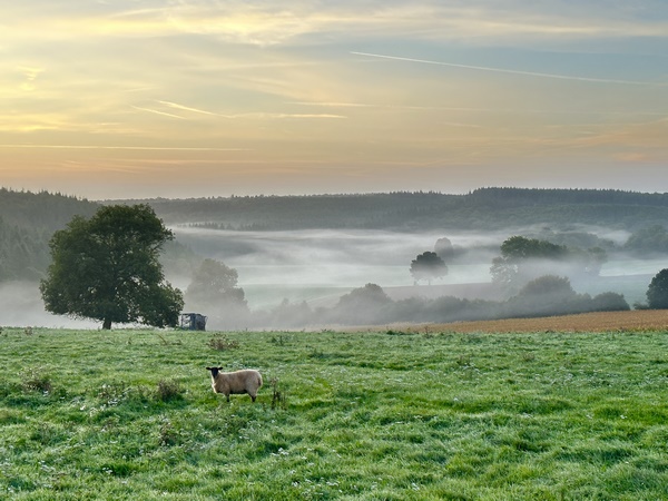 Un peu plus loin, nous constatons que nous ne sommes pas les seuls à profiter des points de vue sur le Val Dallet.