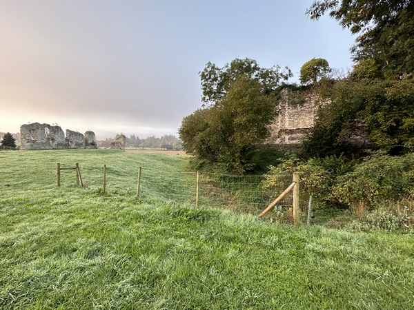 Il ne reste que des ruines du château de Robert de Beaumont. A droite, la tour polygonale sur sa motte et à gauche, les vestiges de la demeure seigneuriale de la basse cour. Le château était proche de la Seine, en bordure d'une crique.