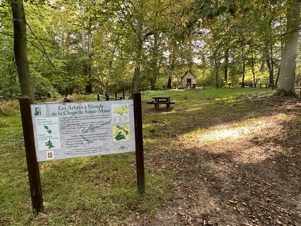 Nous arrivons à la Chapelle Saint-Maur. La tradition veut que nouer des bandes de tissu près de la chapelle guérisse les déficiences physiques et intellectuelles des enfants. La tradition semble toujours vivace... La chapelle a été construite en 1880 sur un ancien prieuré du XIe siècle.