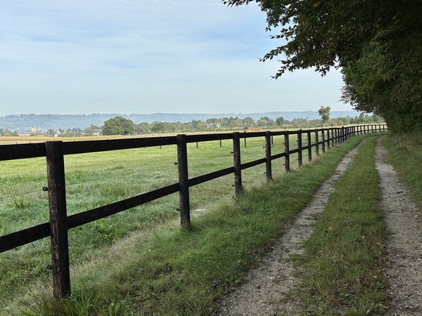Nous marchons en lisière du bois de la Haie du Maur, avec une belle vue sur la vallée.