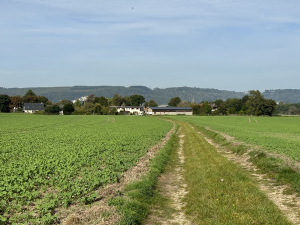 Nous tournons vers Vatteville sur le chemin de la Brèche.