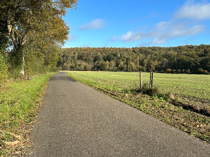 Nous suivons la route du Lac pour aller chercher le chemin qui monte dans le bois, en face.