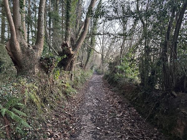 Peu après le départ, nous sommes déjà sur ces chemins du Pays d'Auge que nous aimons tant. Attention, ce sont des chemins qui sont rapidement inondés en période humide.